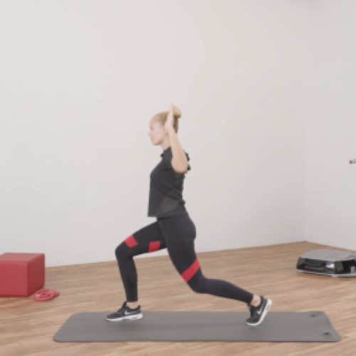 Starke Knochen Online