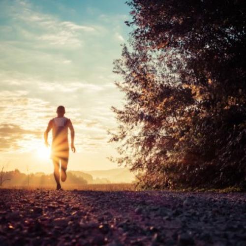 Vom Walken zum Laufen - Das Ausdauertraining Online